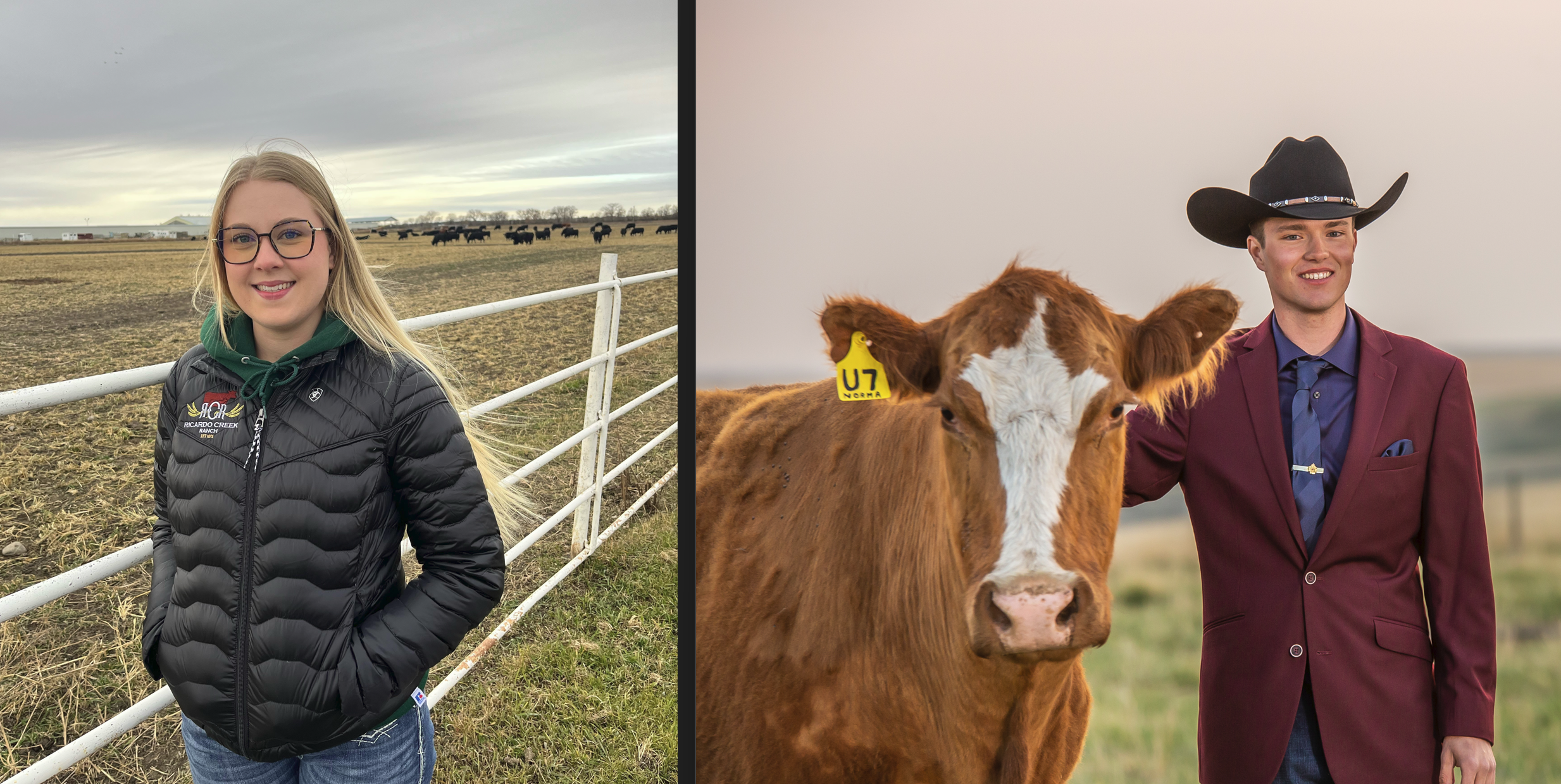 Canadian Angus Association