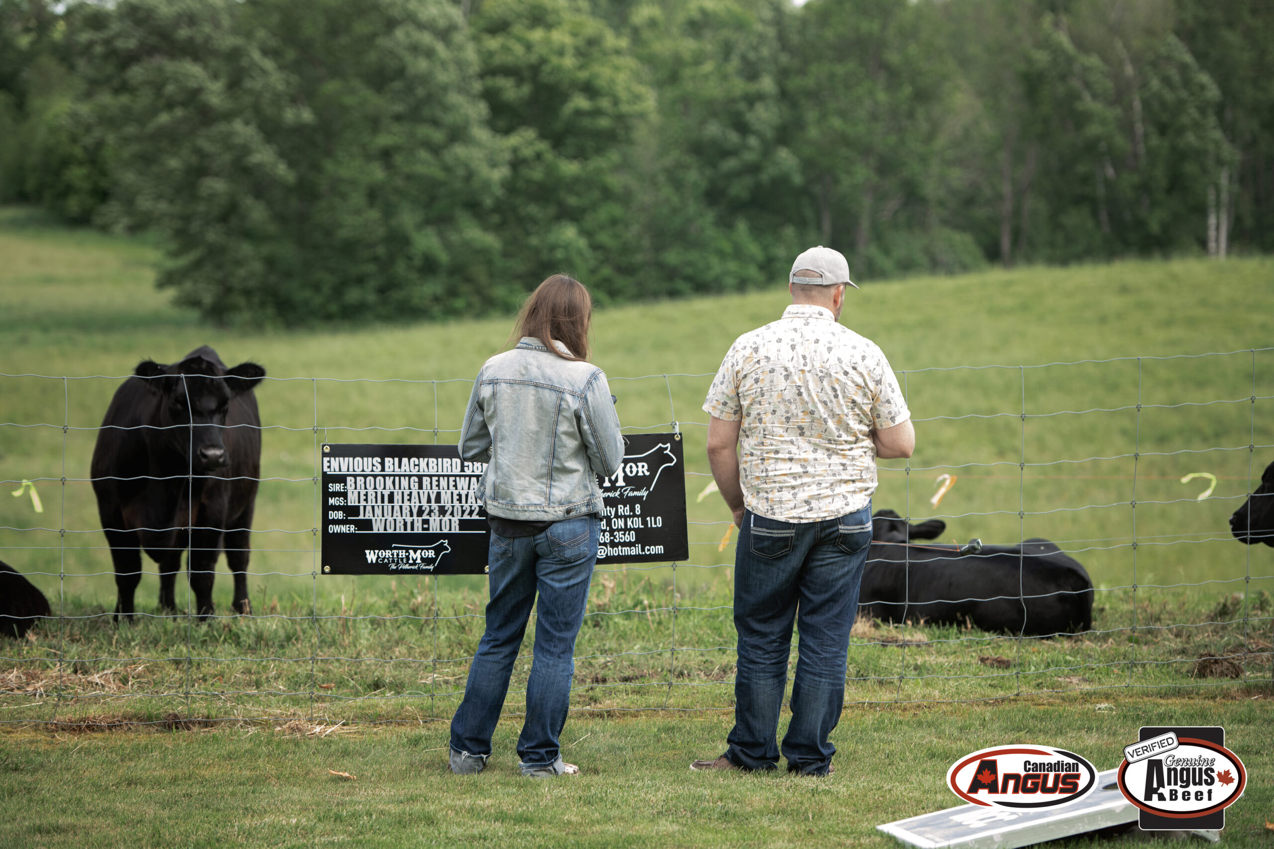 Canadian Angus Association