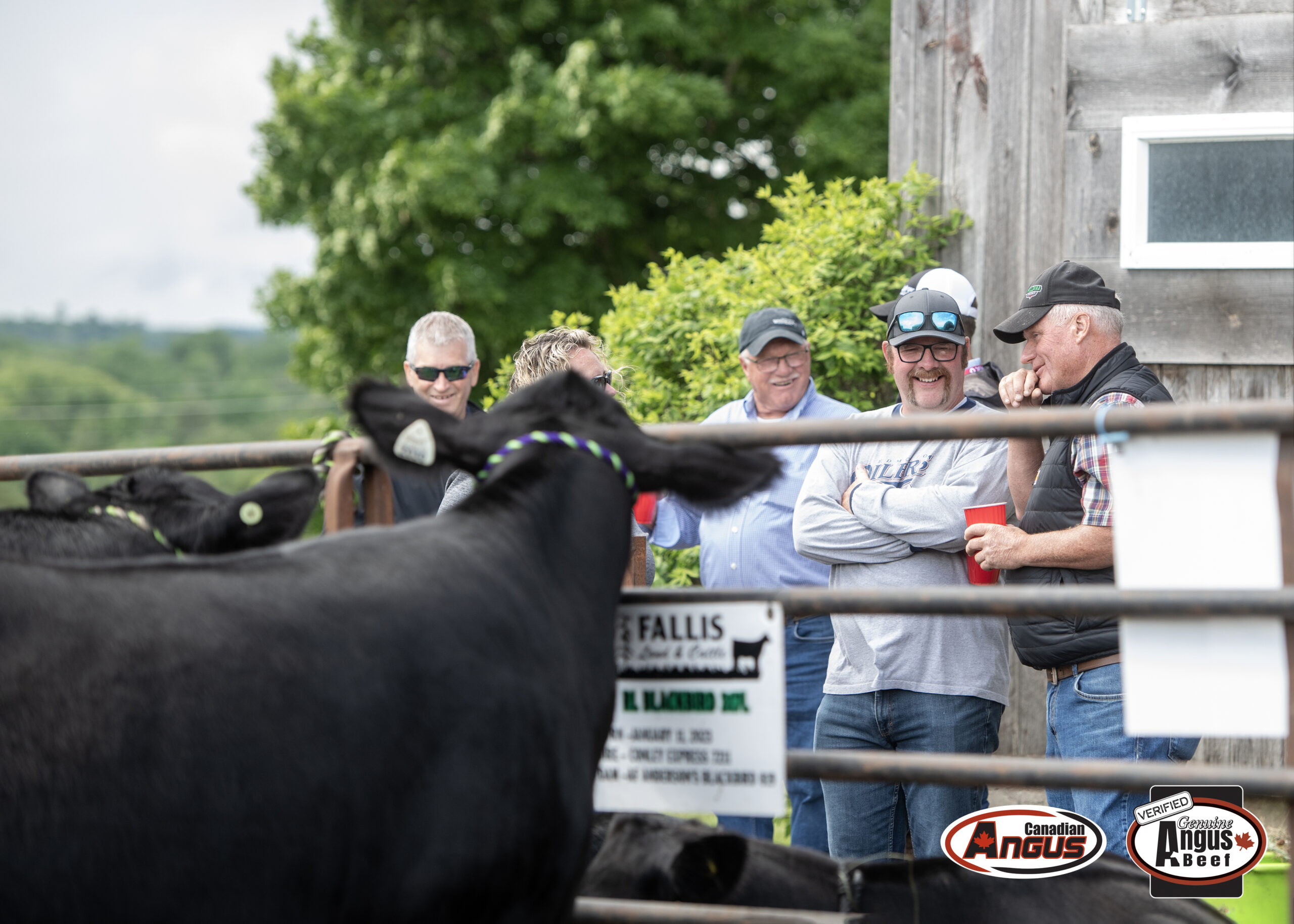 Canadian Angus Association