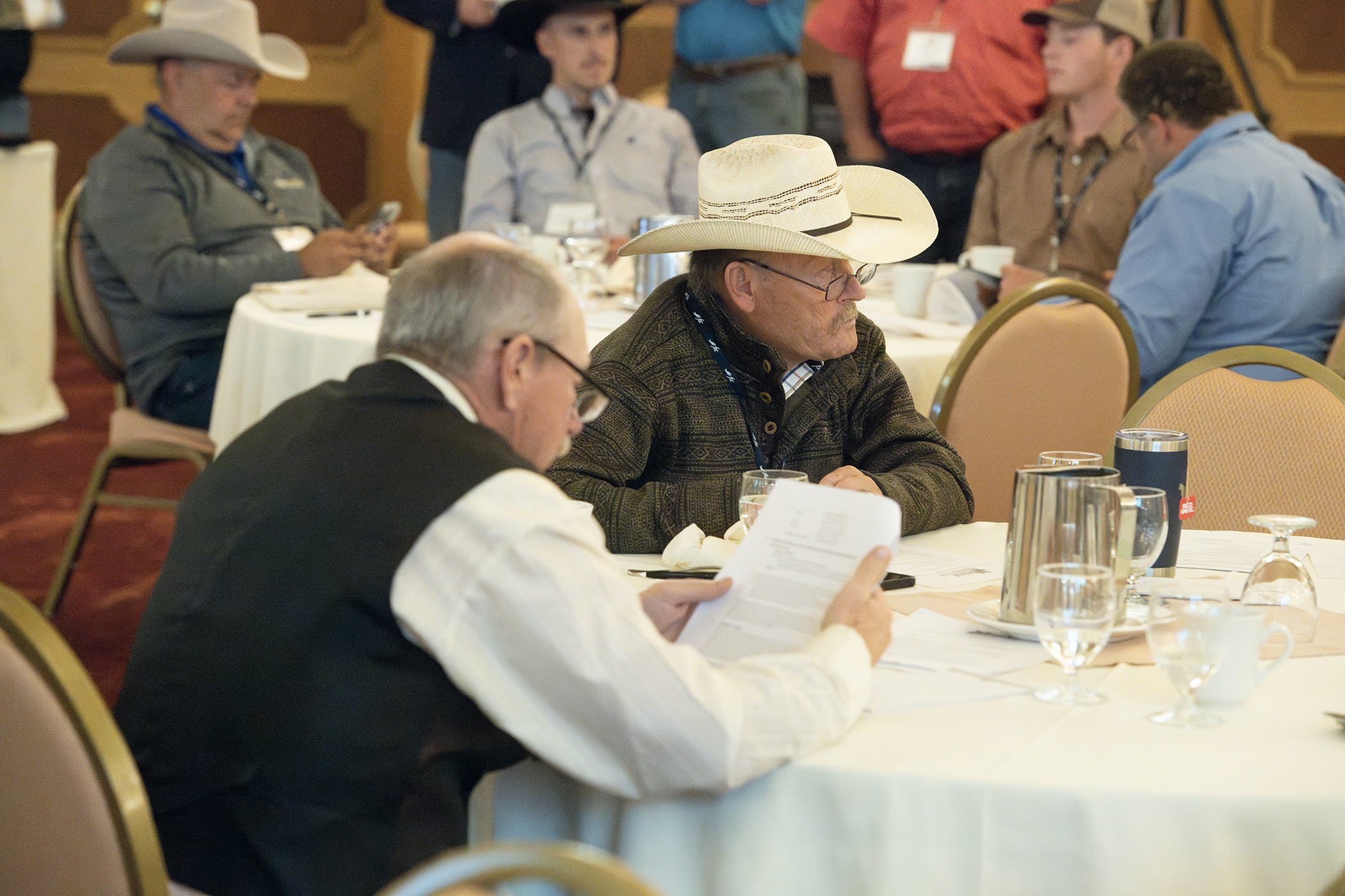 Canadian Angus Association