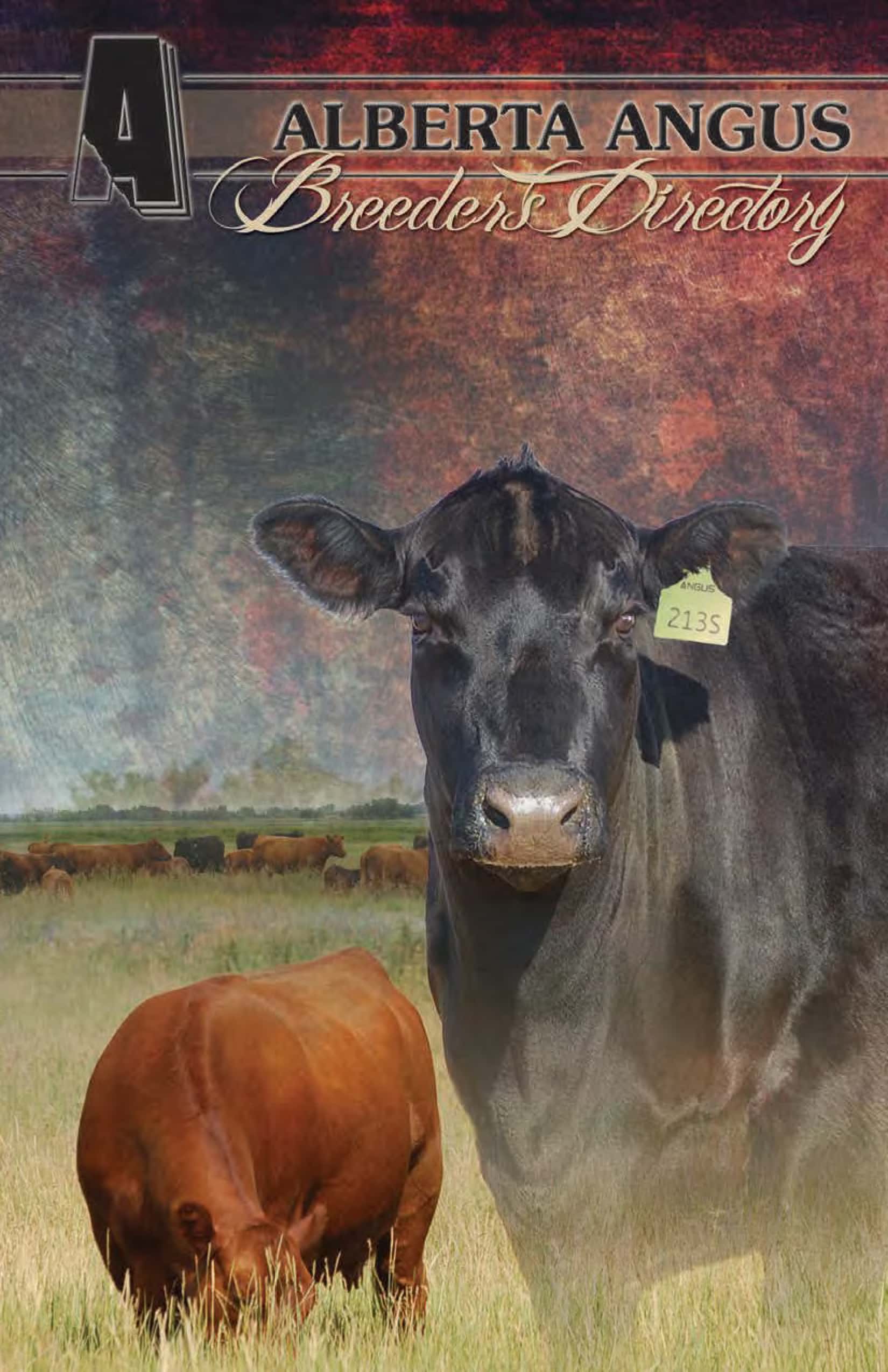 Canadian Angus Association