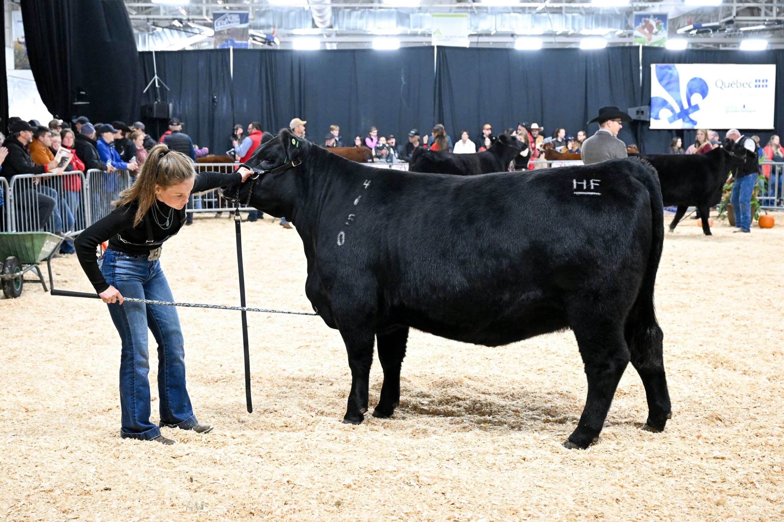 Canadian Angus Association