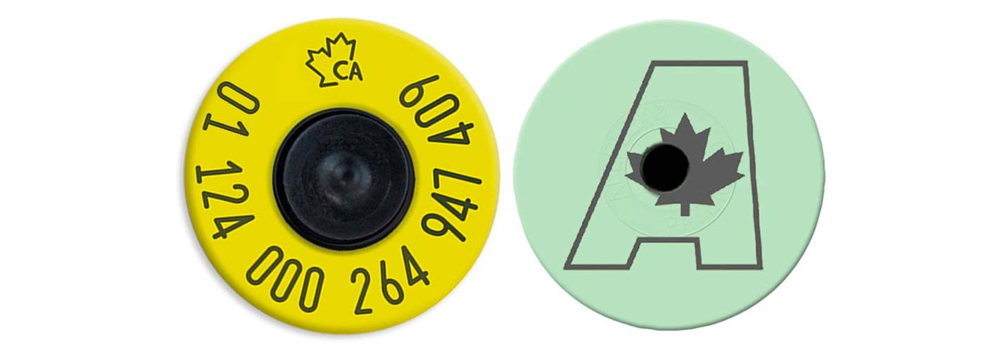 Canadian Angus Association