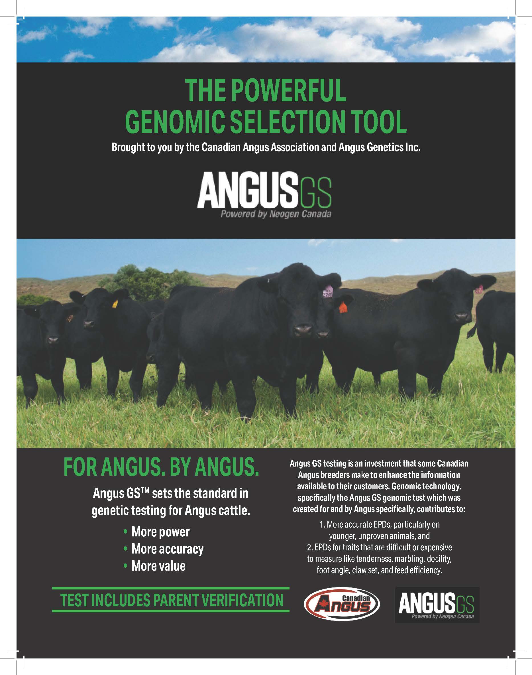 Angus GS Full Page ad 1