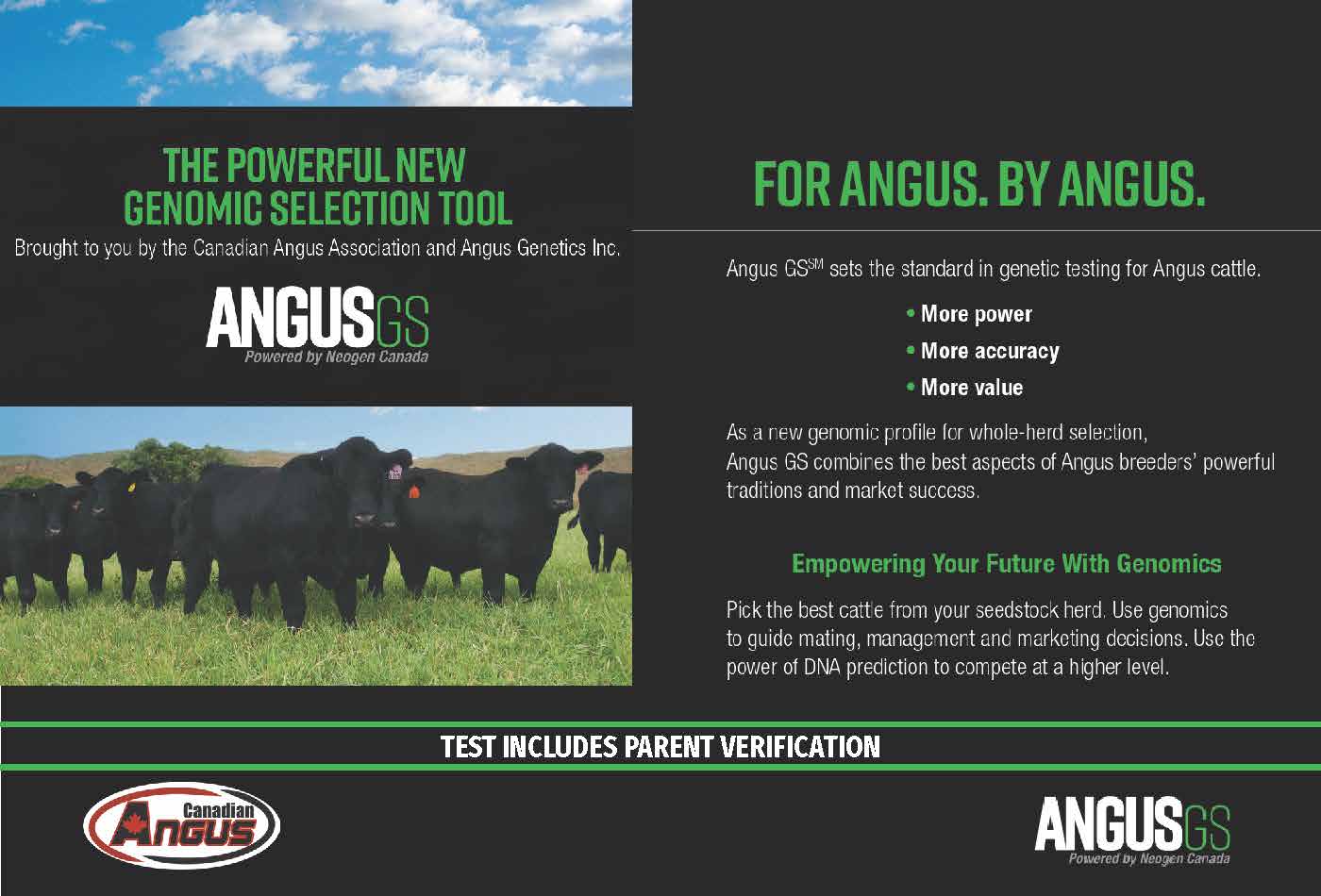 Angus GS Half Page Ad
