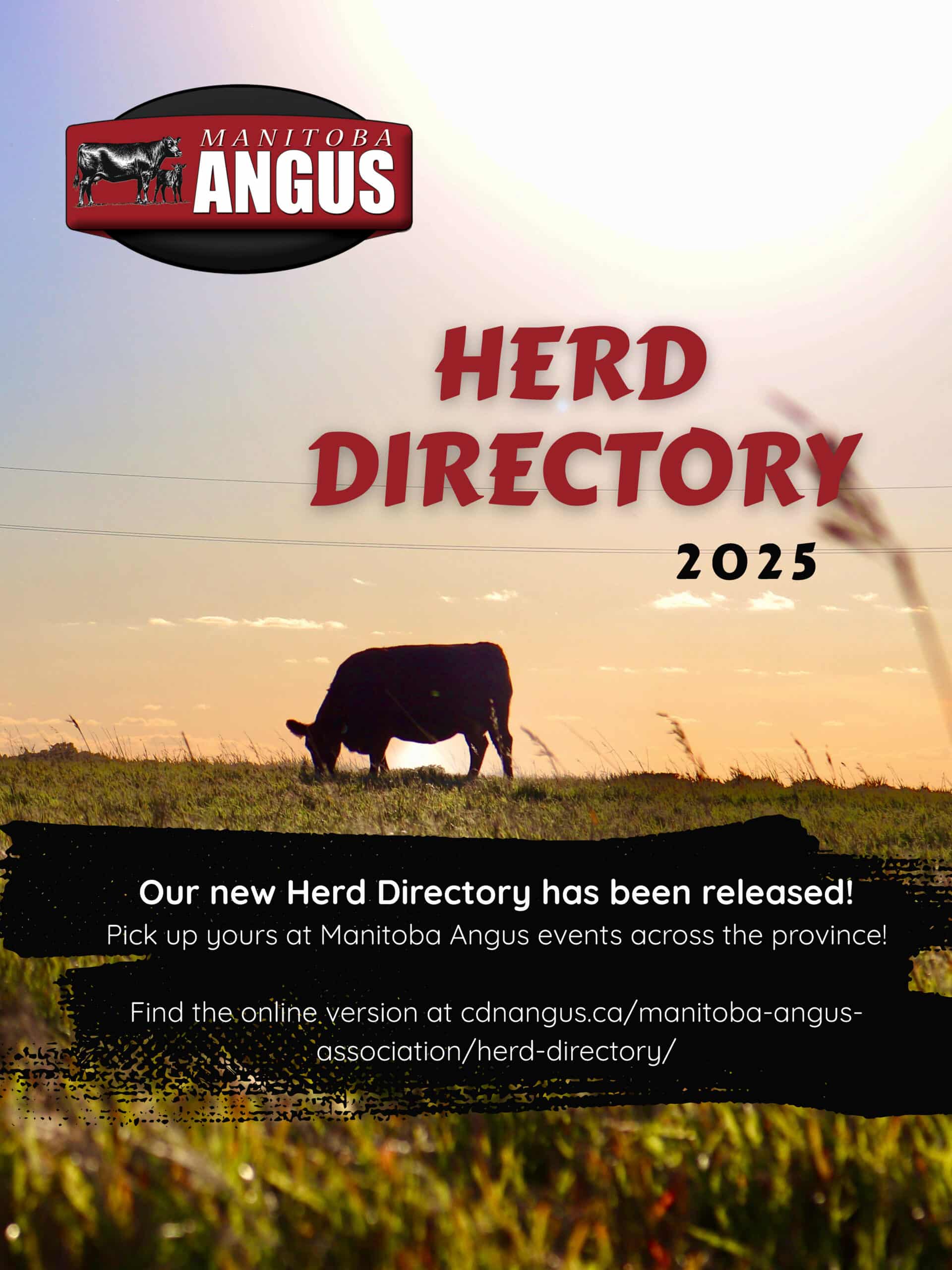 Canadian Angus Association