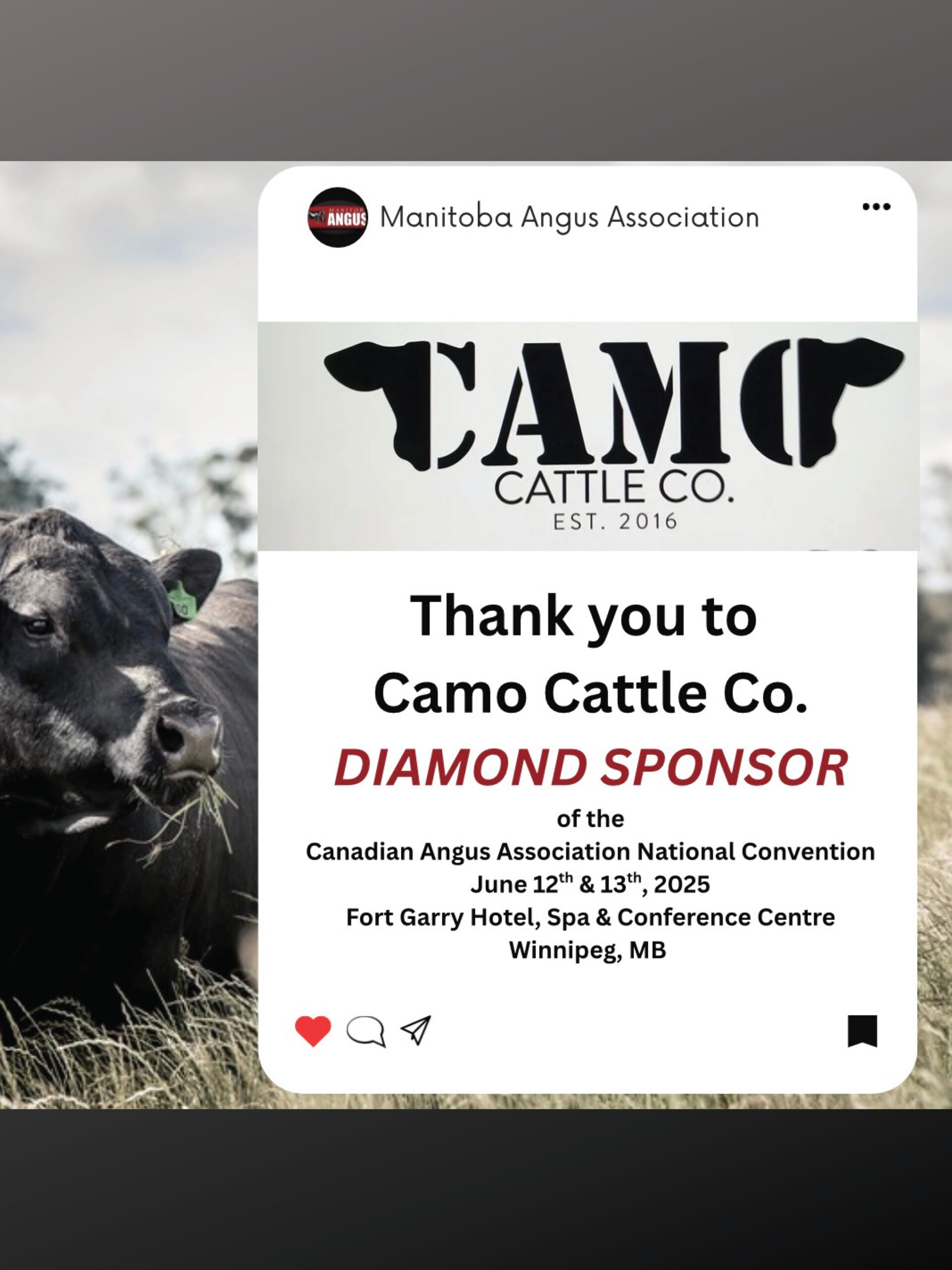 Canadian Angus Association