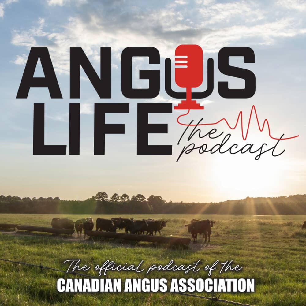 Angus Life podcast image
