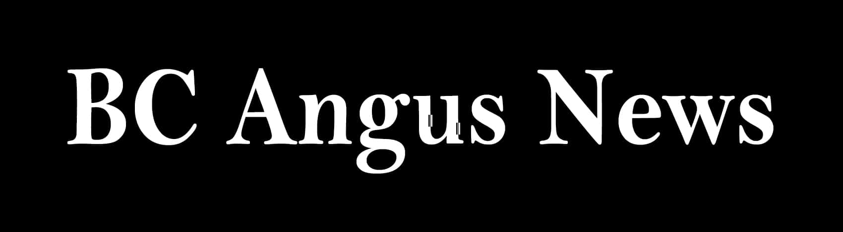 BC Angus News