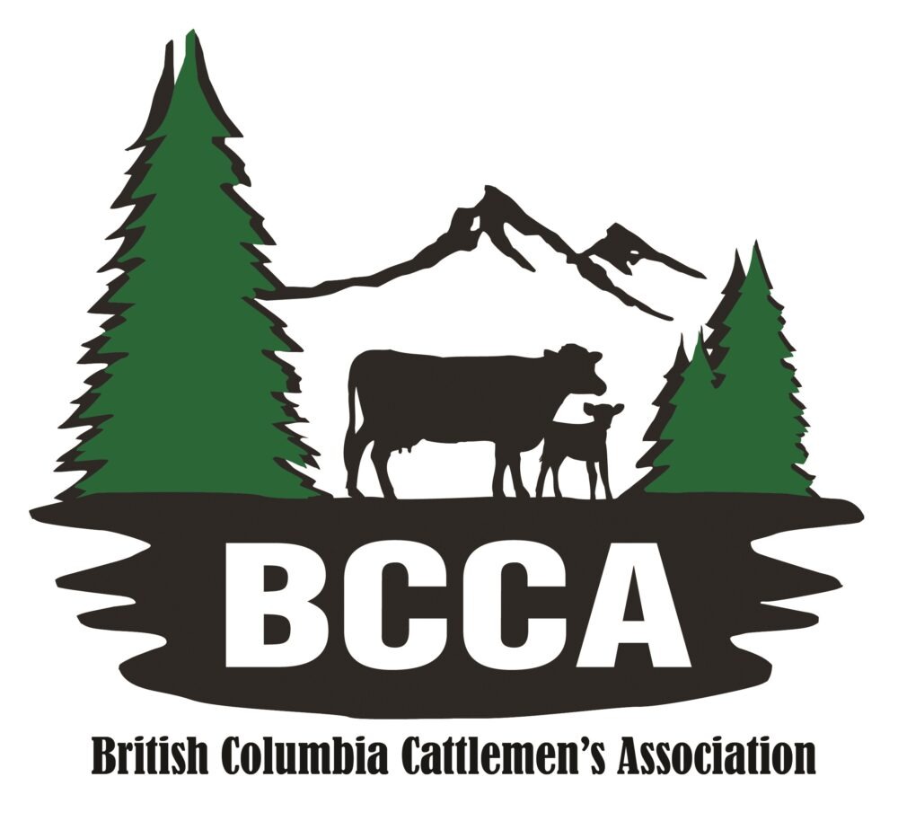 BCCA Logo & Name_Colour_Transp Bkgd