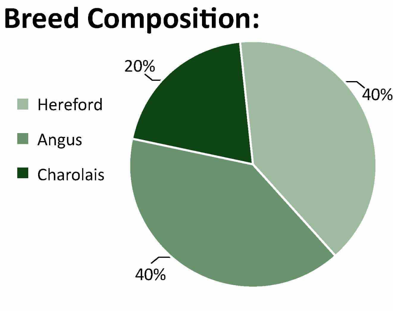 Canadian Angus Association