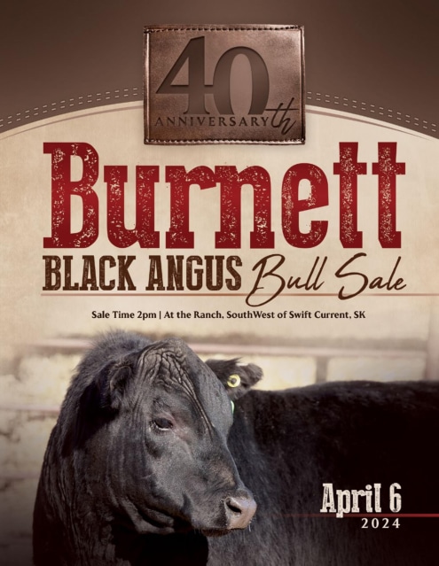 Burnett Black Angus