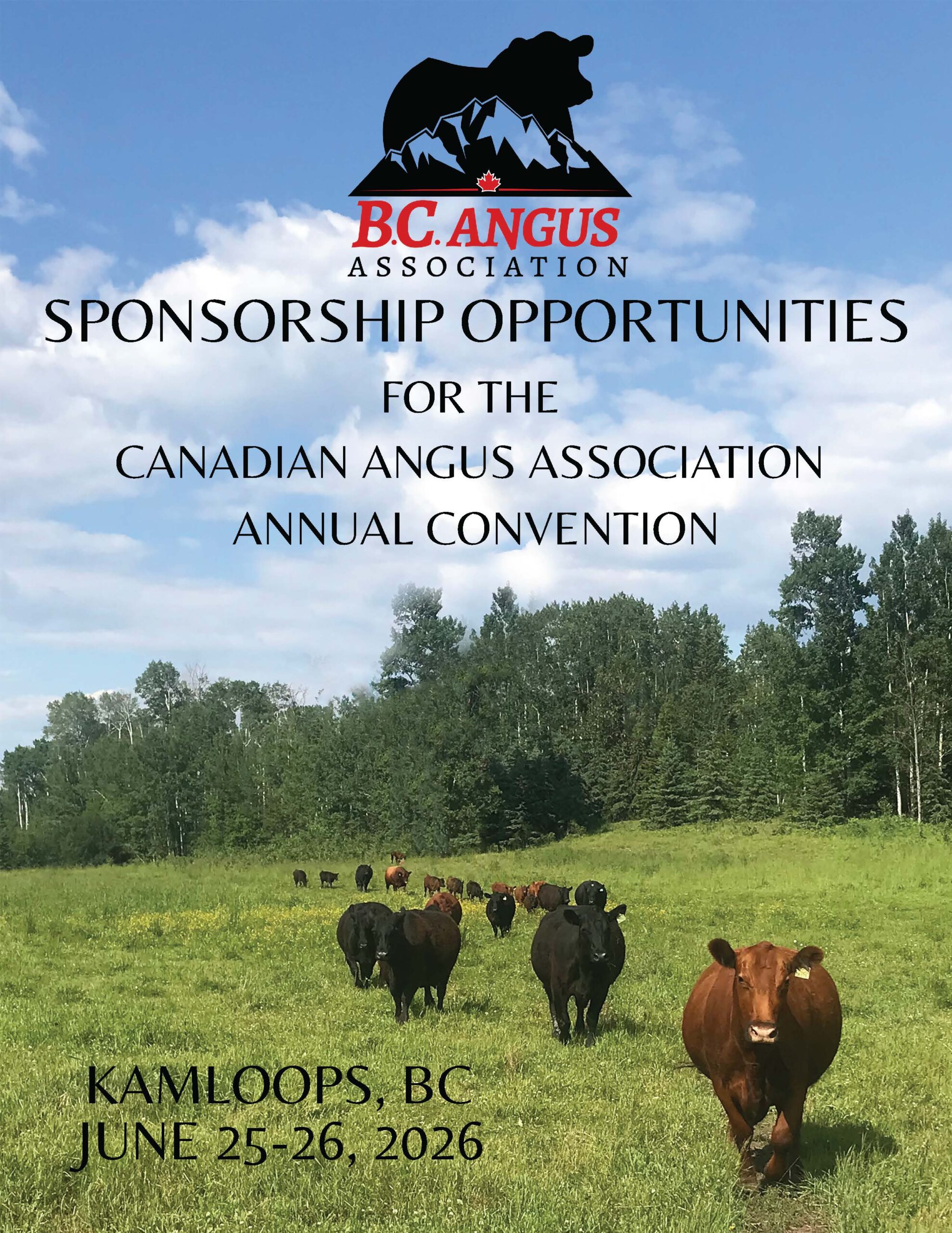 CAA Convention 2026 - BCAA Sponsorship Opportunities_Page_1