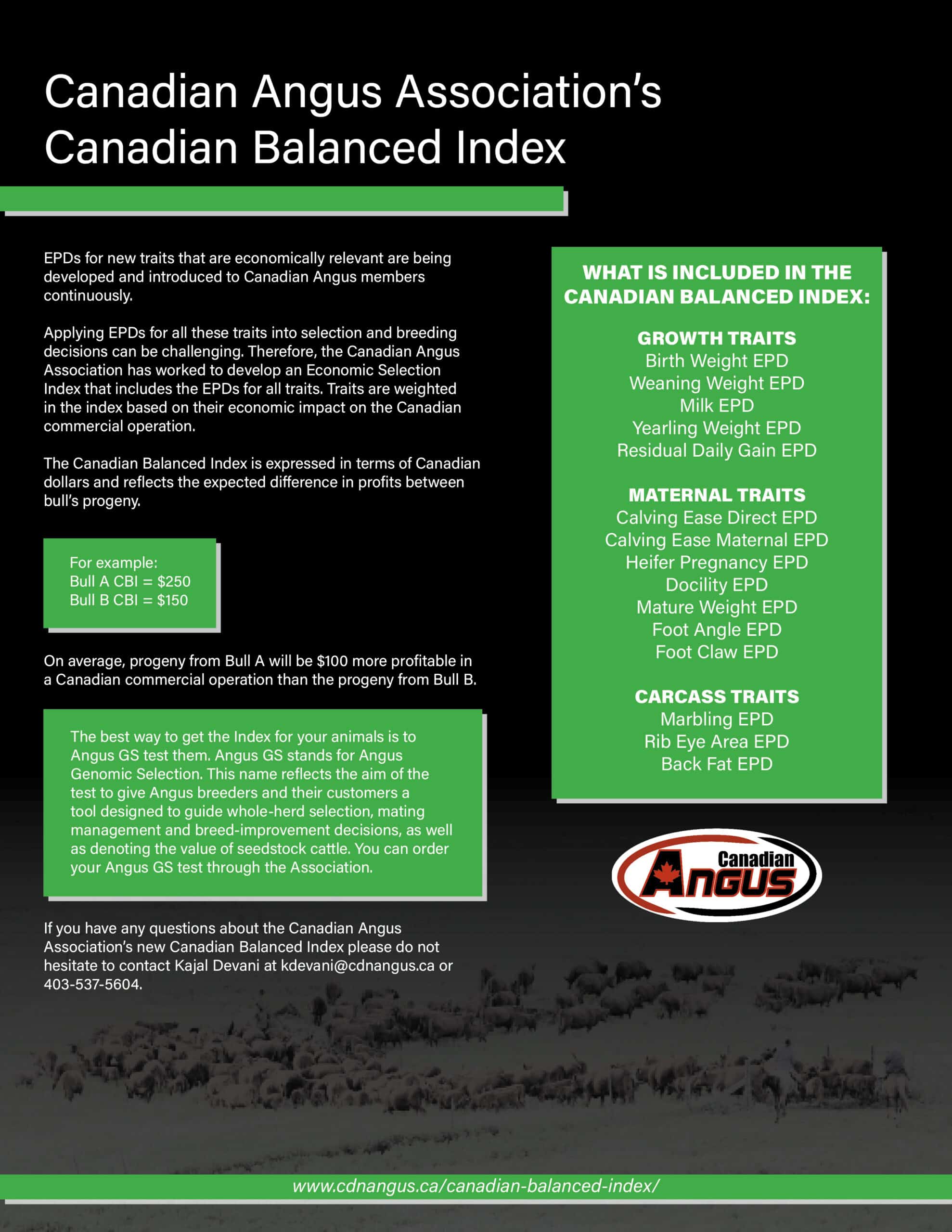 Canadian Balanced Index_New_Oct 2022