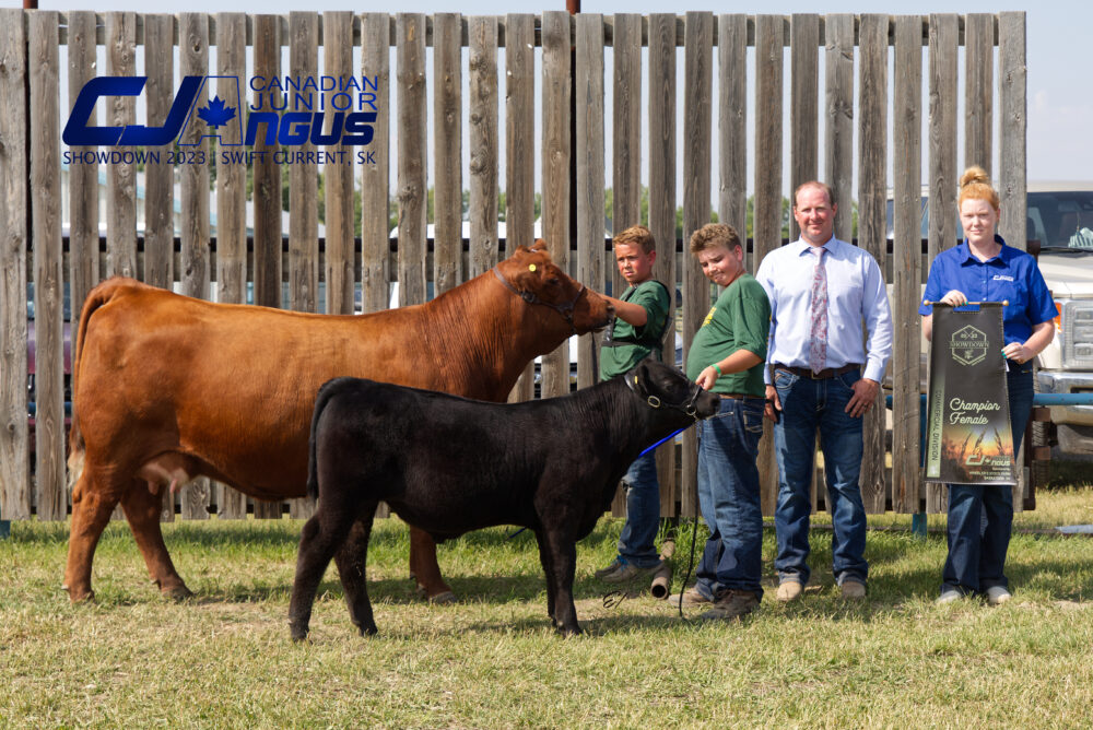 Commercial Division - Champion Female: Zoey - <br>Kirk Rutten