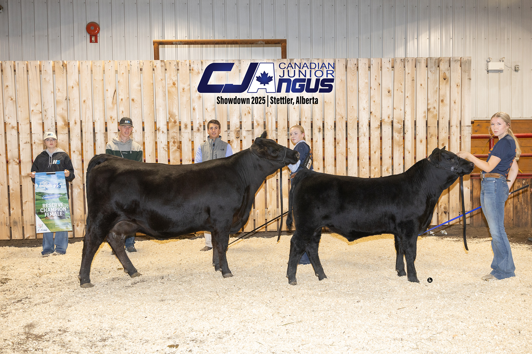 Canadian Angus Association