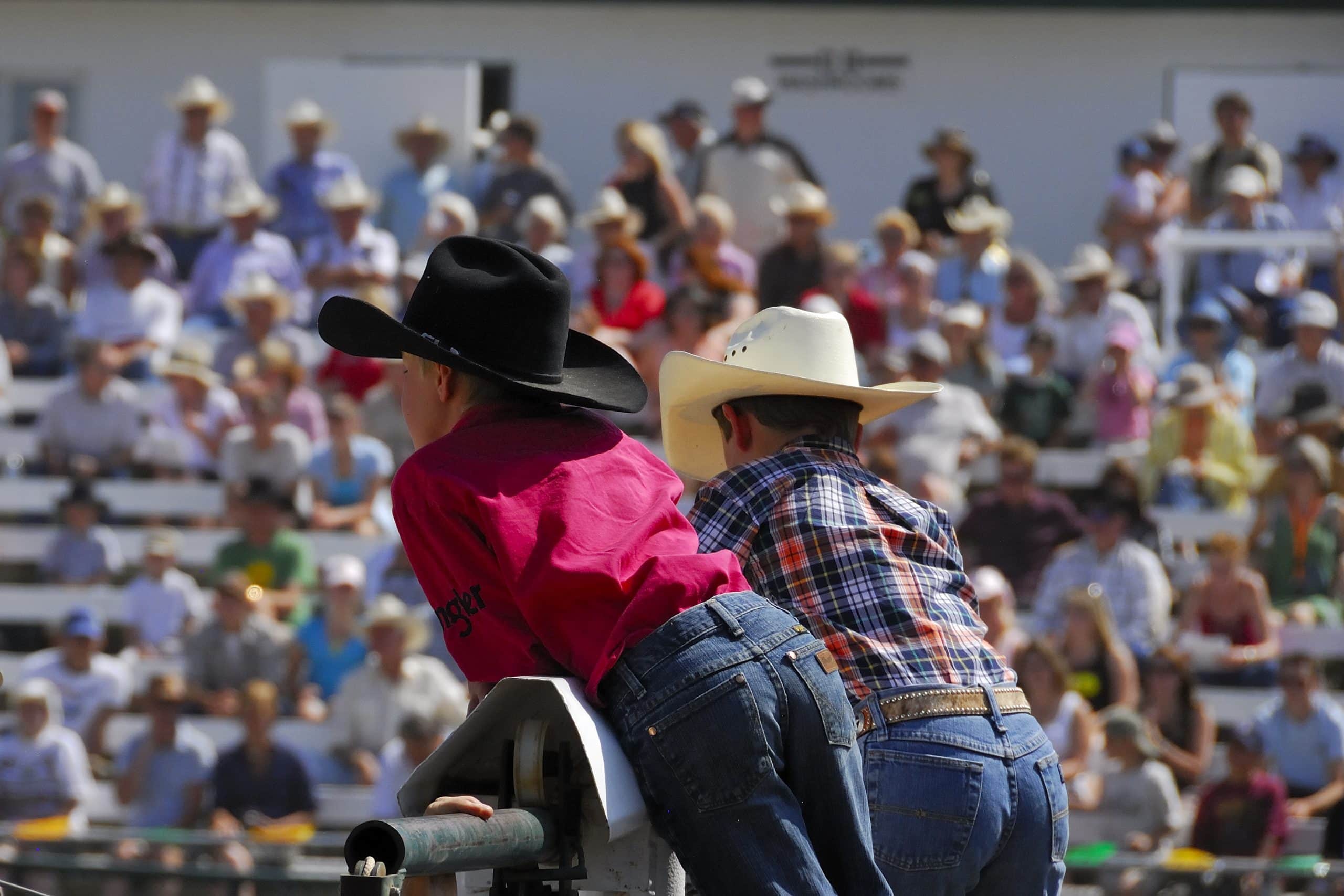 Canadian Angus Association