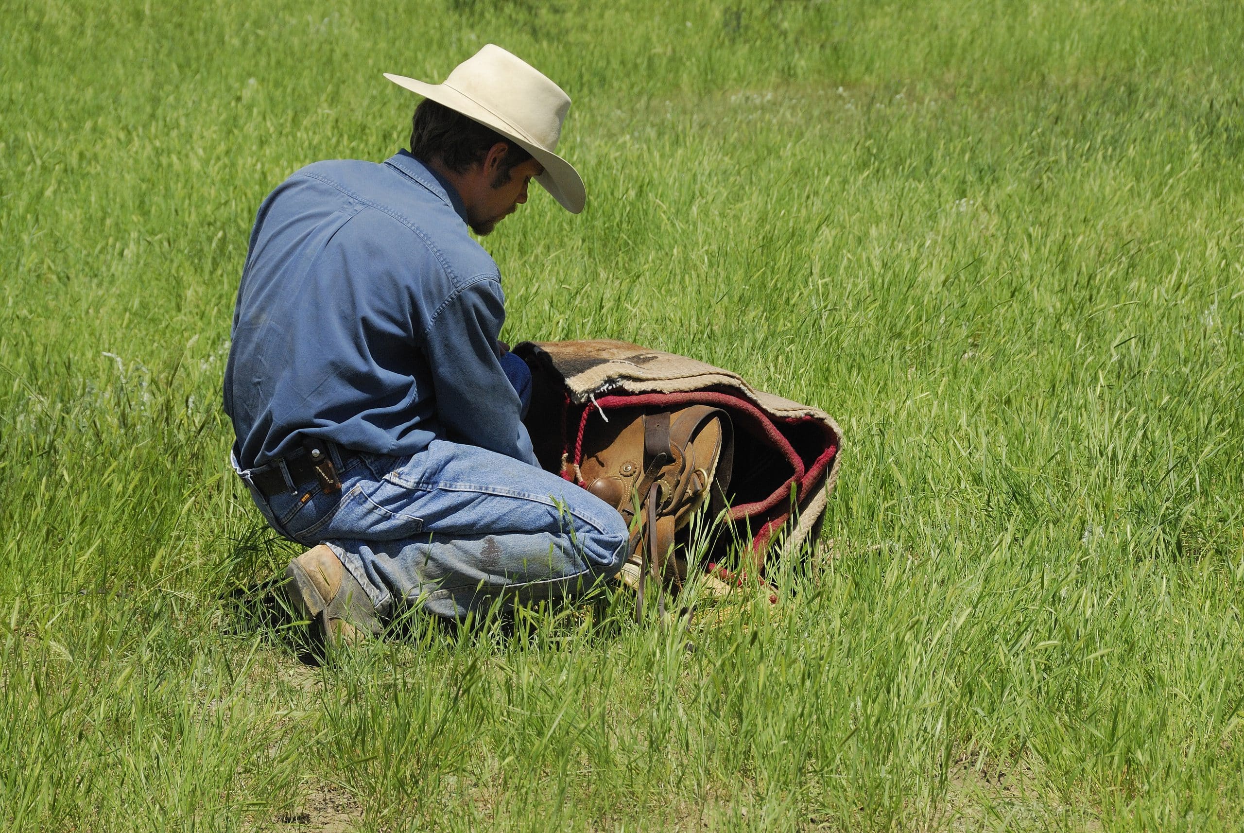 Canadian Angus Association