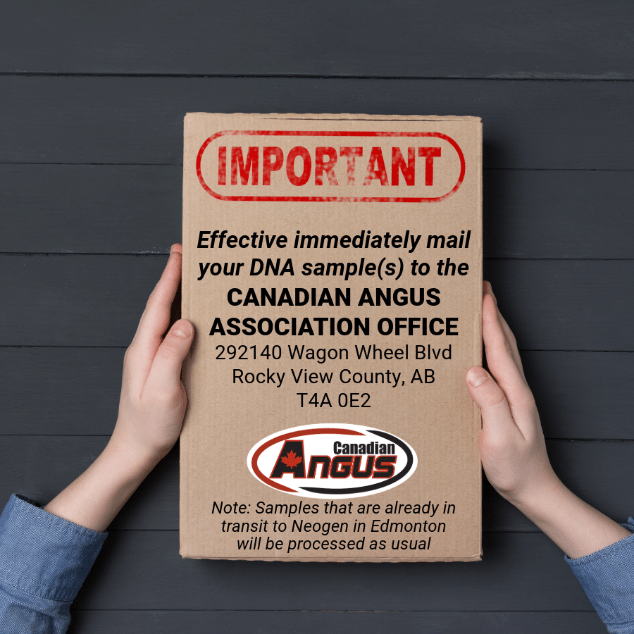 Canadian Angus Association