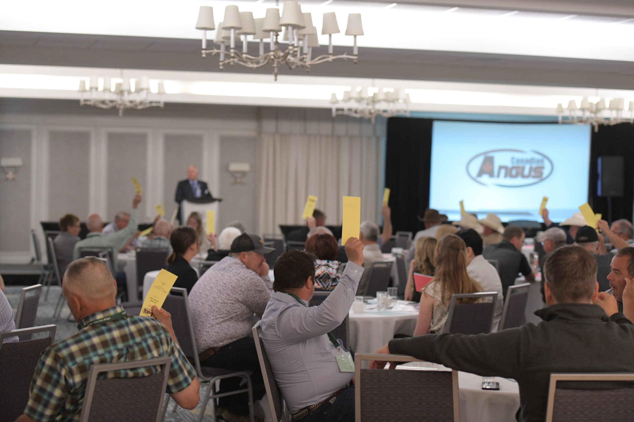 Canadian Angus Association