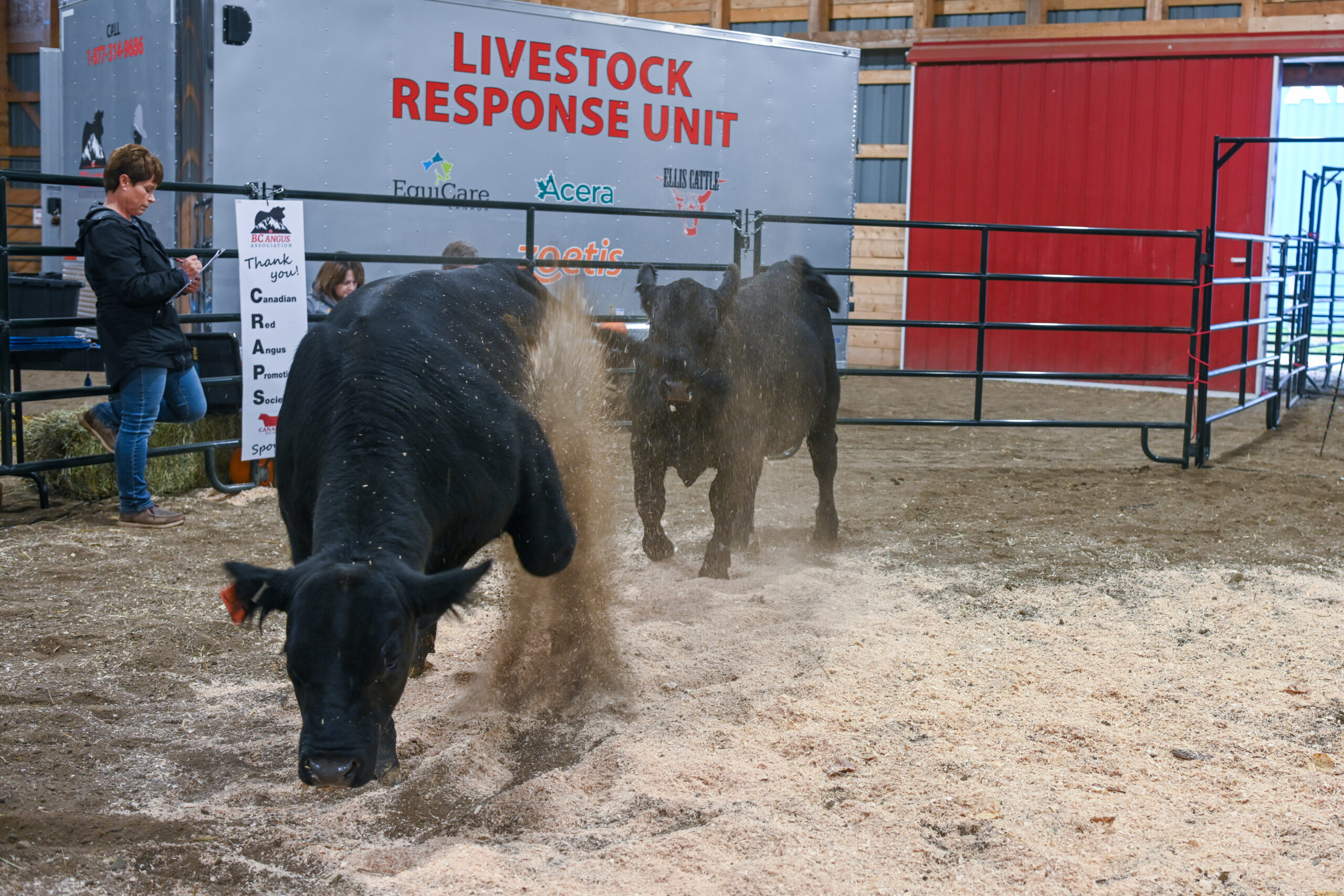 Canadian Angus Association