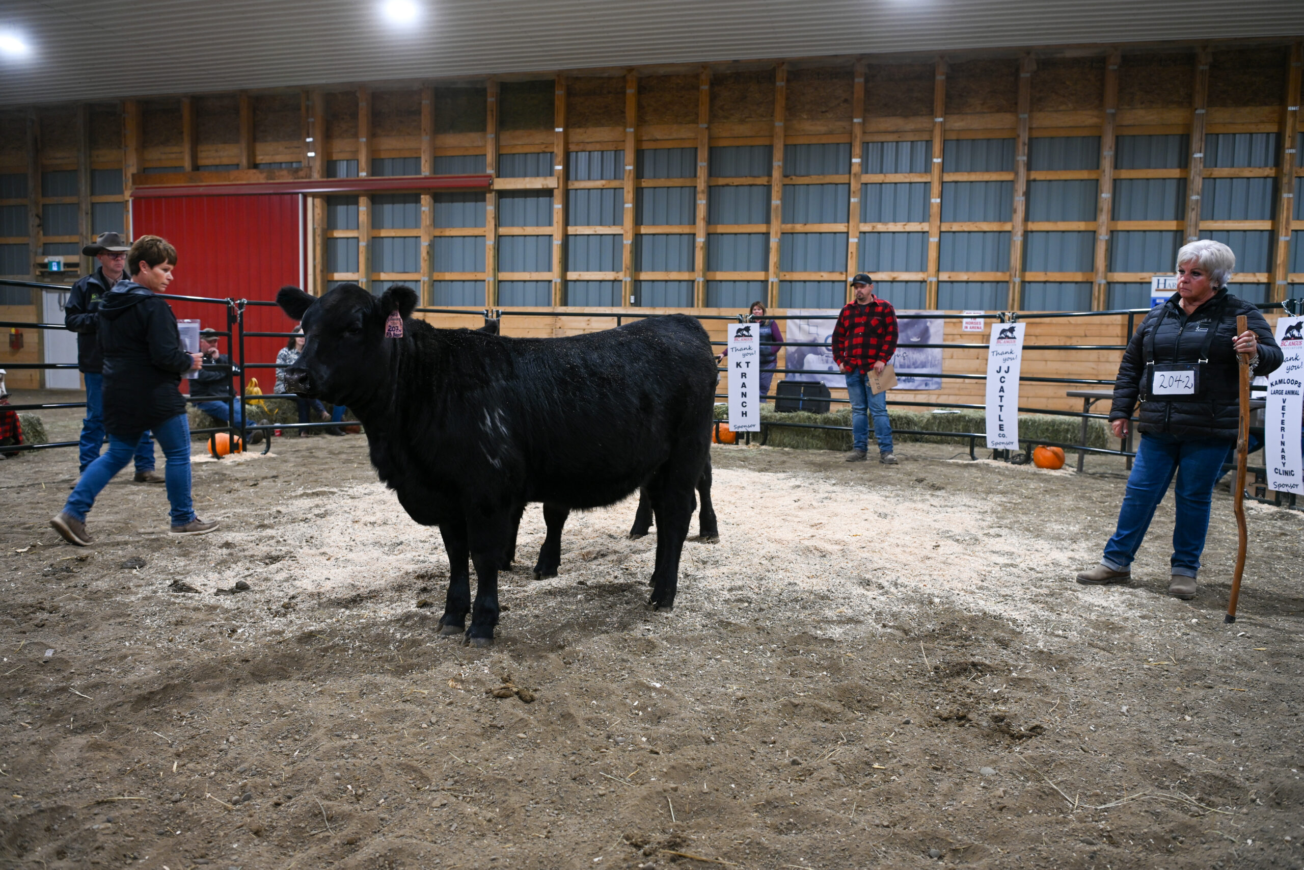 Canadian Angus Association