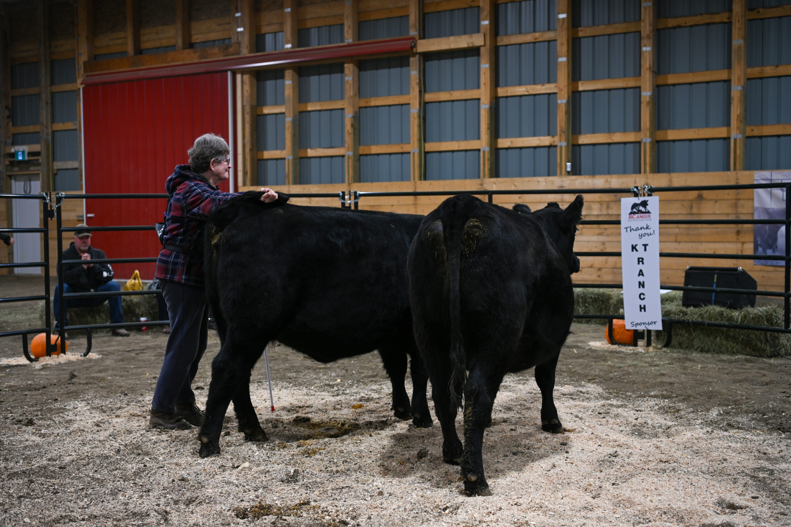 Canadian Angus Association