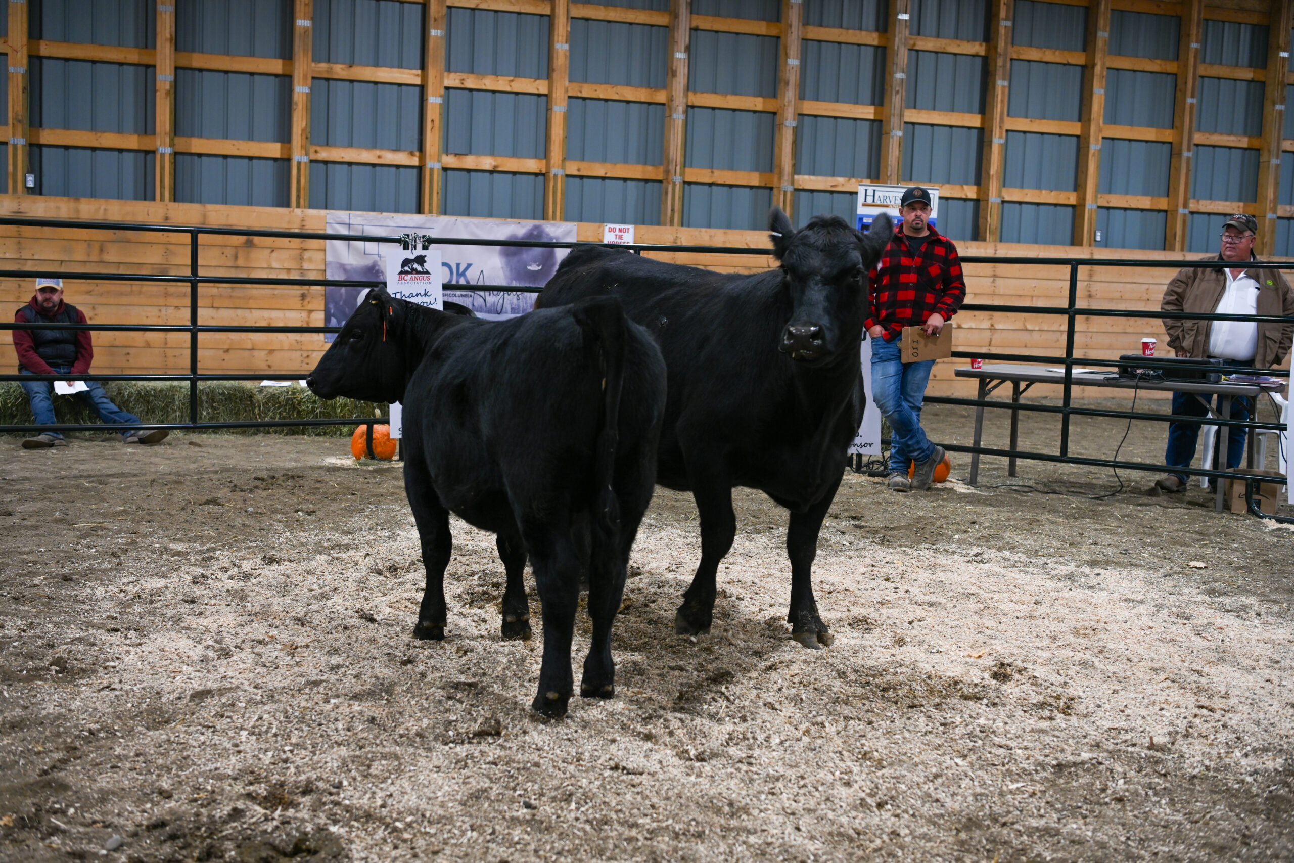 Canadian Angus Association