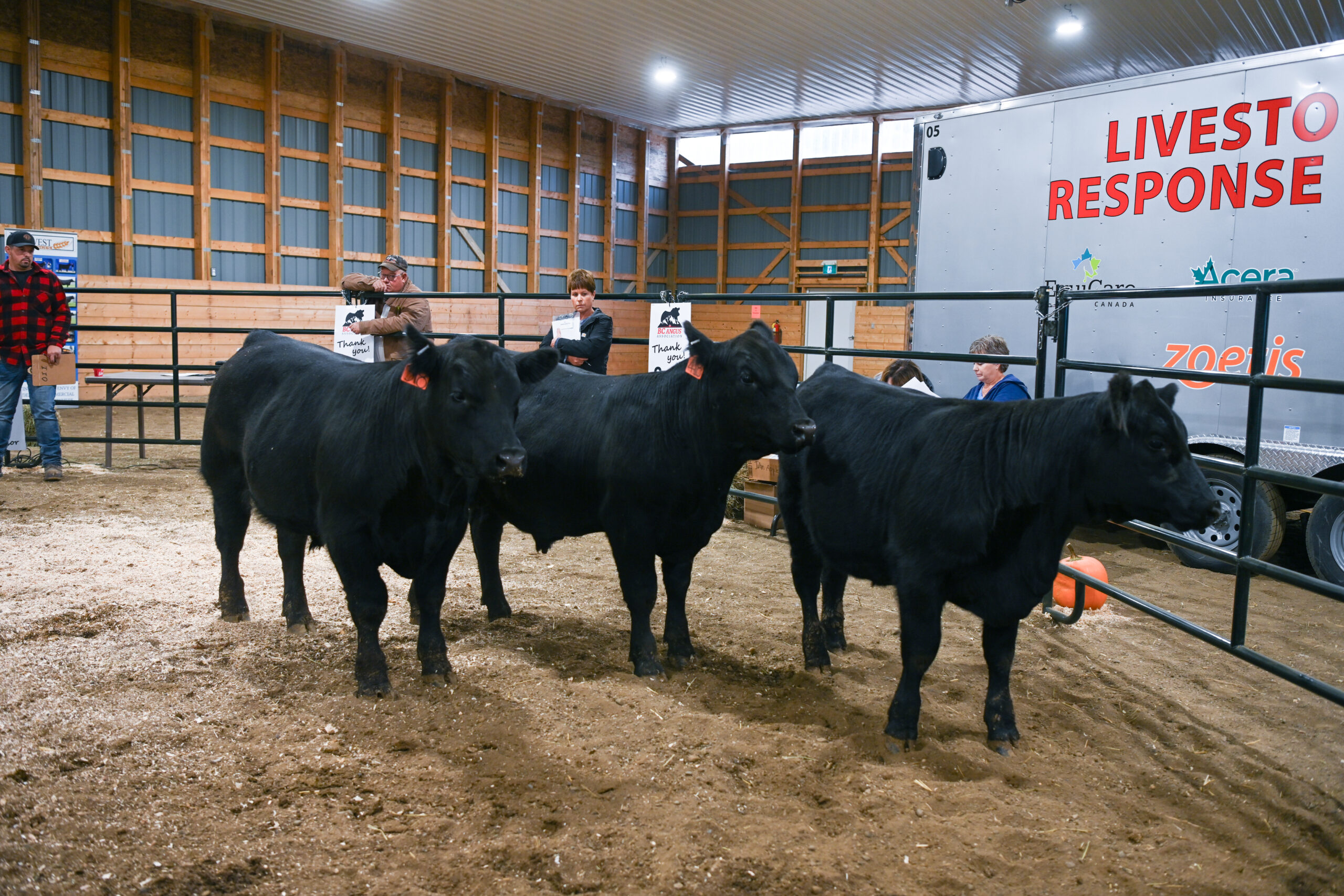 Canadian Angus Association