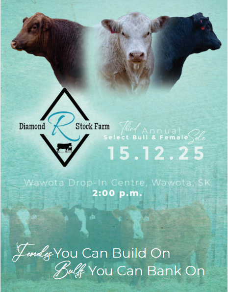 Diamond R Stock farm