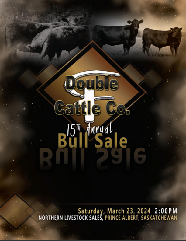 Double Cattle Co
