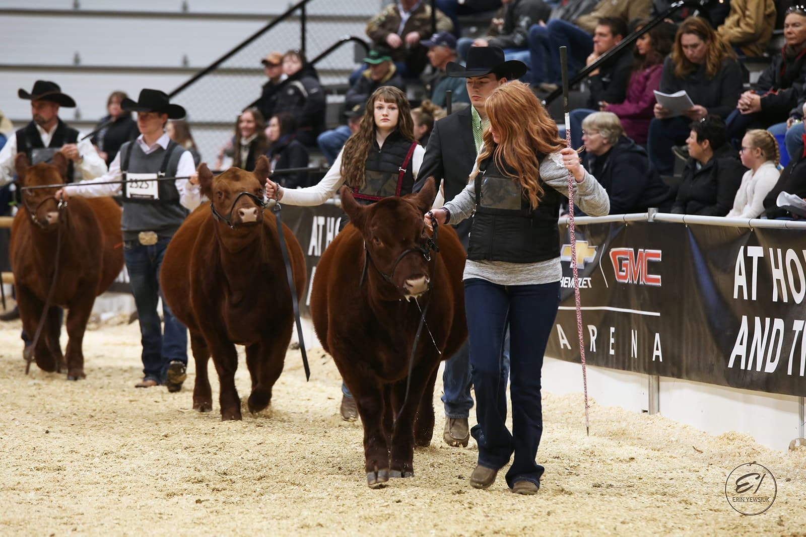 Canadian Angus Association