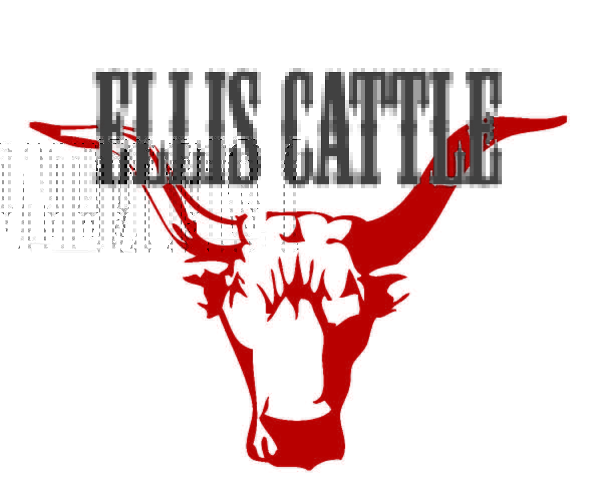 Canadian Angus Association