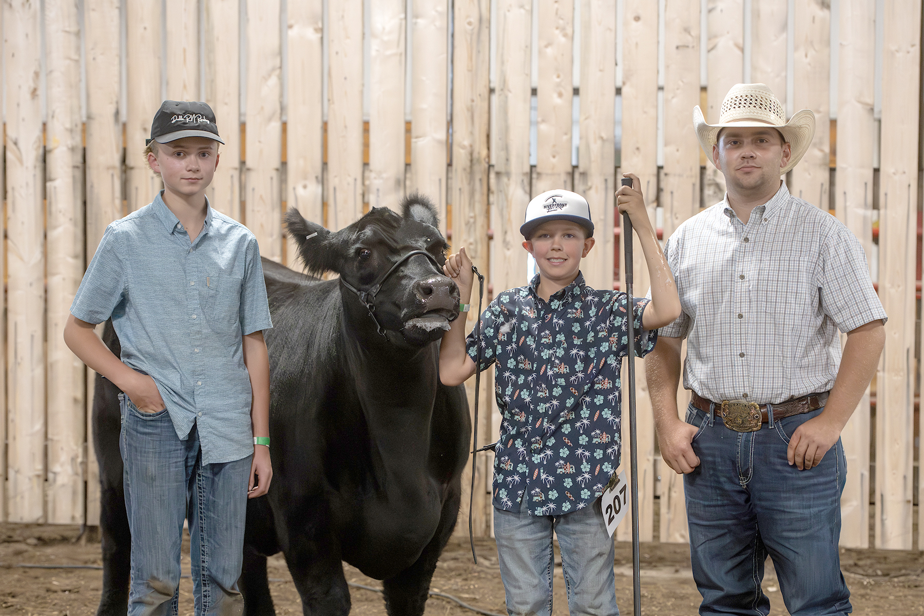 Canadian Angus Association