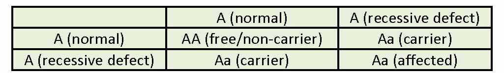 Canadian Angus Association