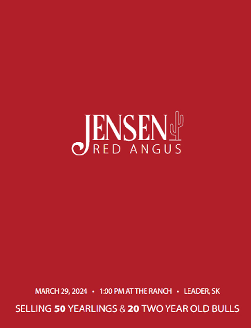 Jensen Red Angus