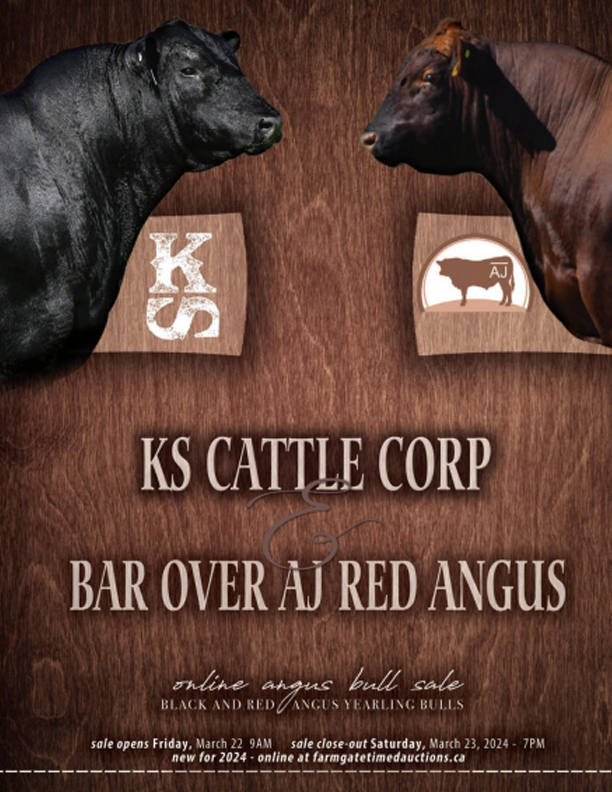KS Cattle Corp