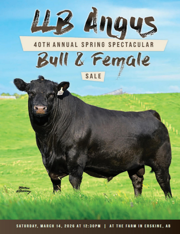 Canadian Angus Association