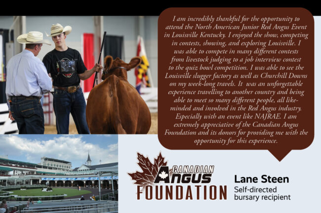 Lane Steen Foundation