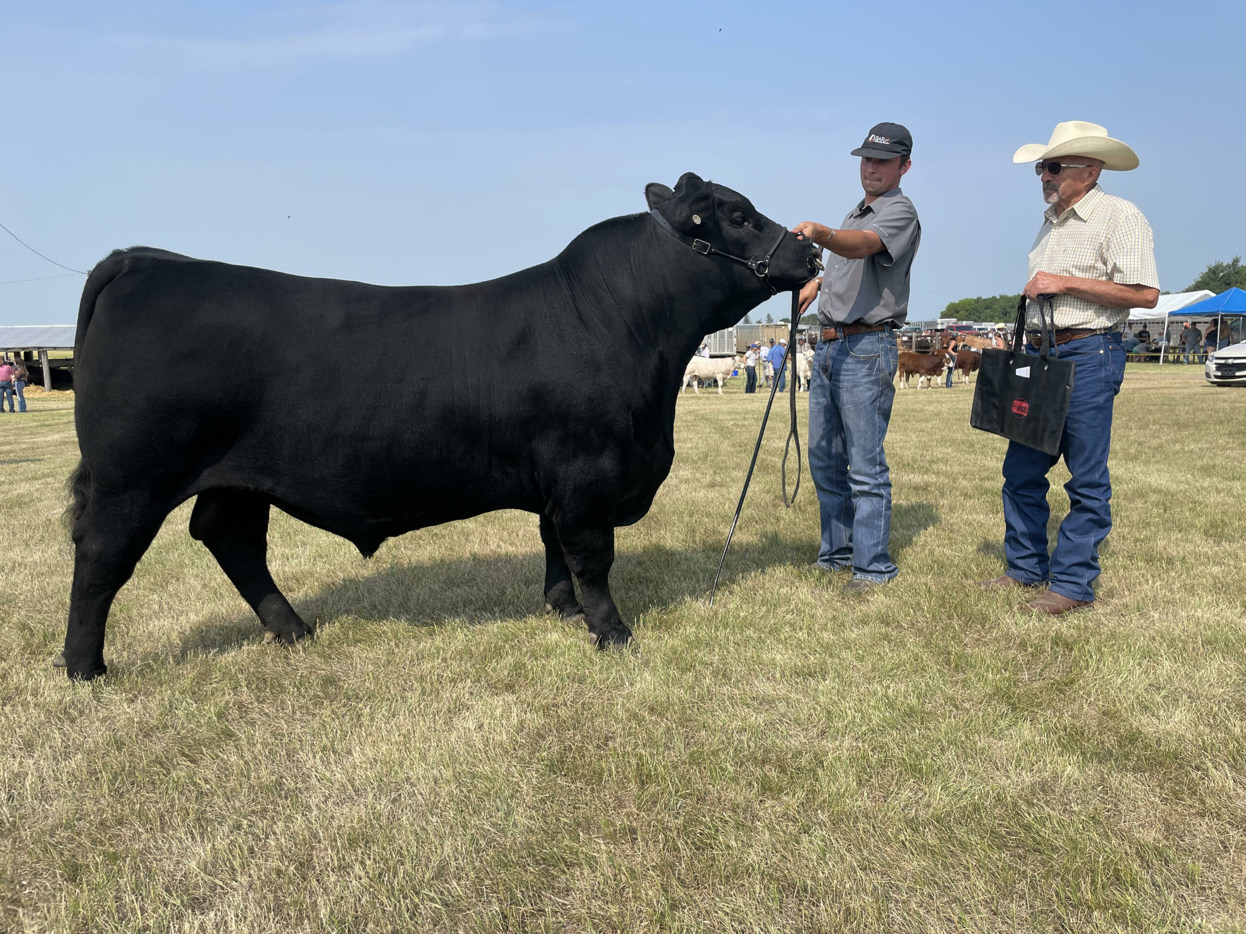 MAA 2023 Summer Gold Show Grand Champion Bull - EXAR Redemption 2612 exhibited by Bar-H Land & Cattle & Express Ranches, Langenburg, SK