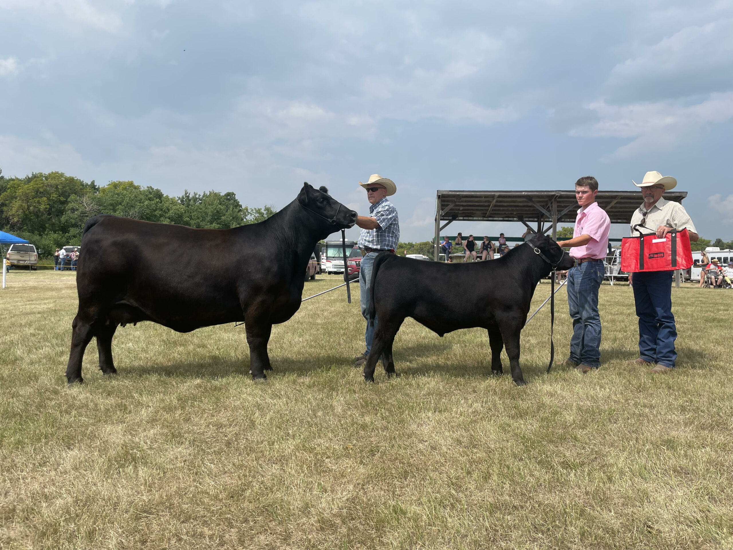 MAA 2023 Summer Gold Show Reserve Grand Champion Female - Merit Socialite 1028J with Merit Big Deal 3069L exhibited by Merit Cattle Co., Radville, SK