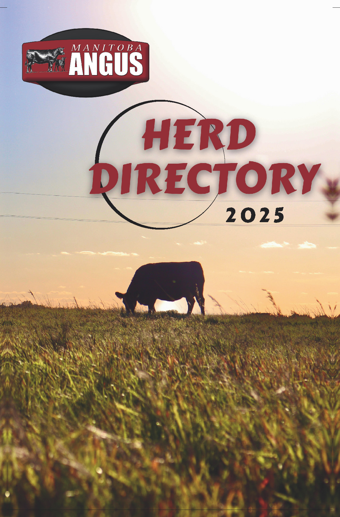 Canadian Angus Association