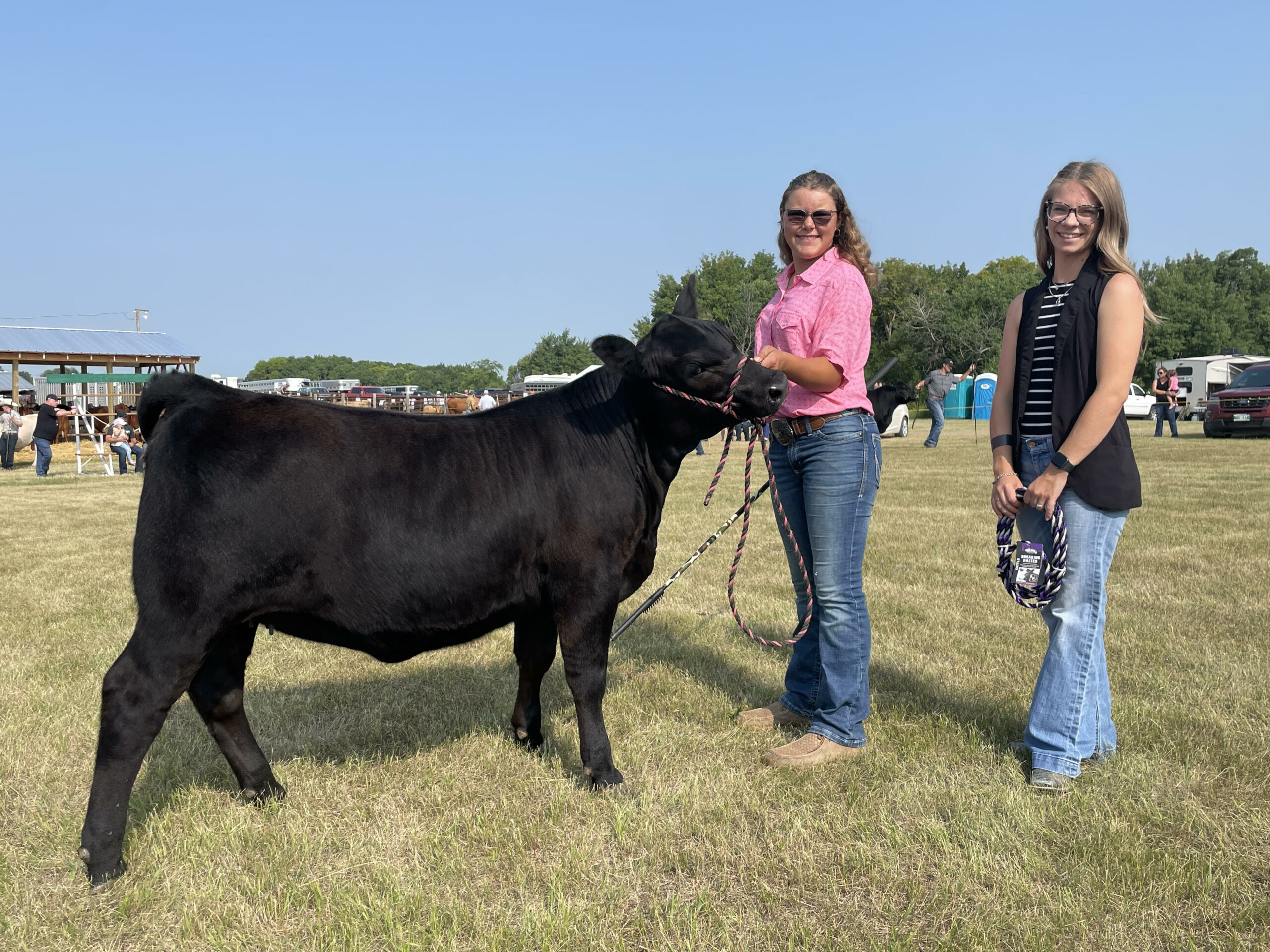 MJAA 2023 Summer Gold Show Reserve Grand Champion Female - KCH Rose 312 exhibited by Kendra Hinsburg, Rapid City, MB