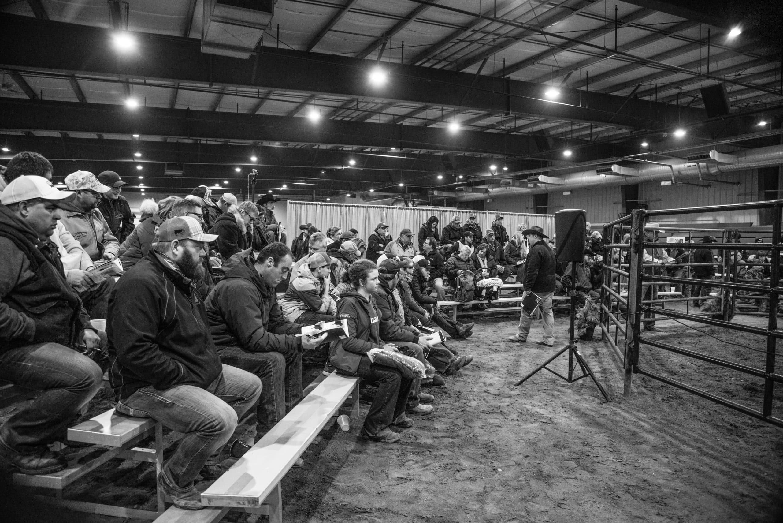 RGC_0254 Canadian Angus Association