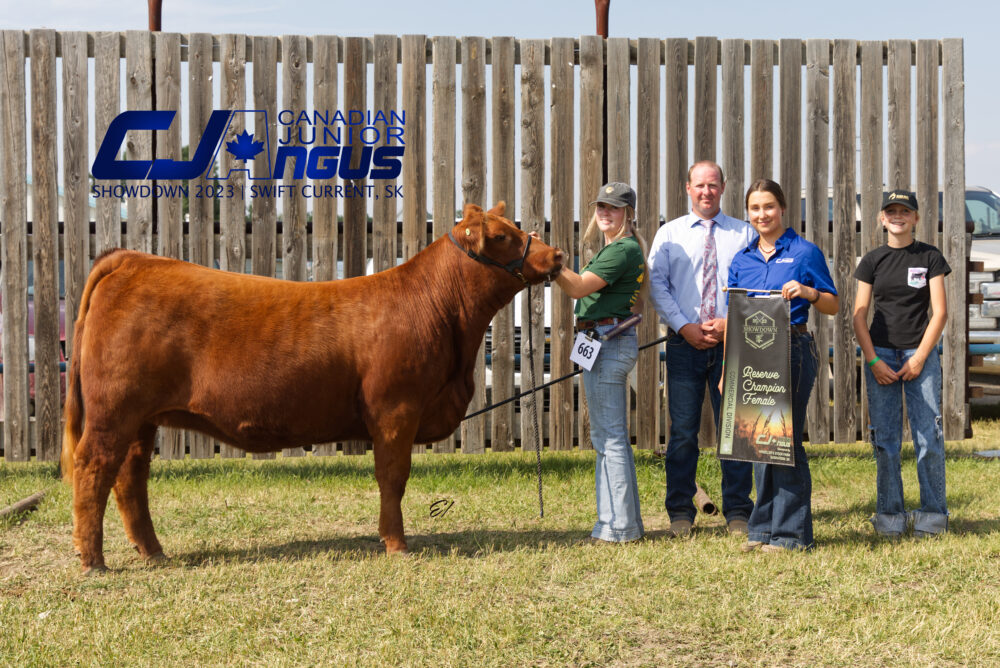 Commercial Division - Reserve Champion Female: Redrich Gypsy 168K - <br>Lexi Dietrich