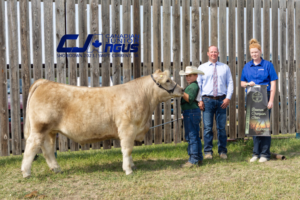 Commercial Division - Reserve Champion Steer: S.A.M. - <br>Tate Wheeler