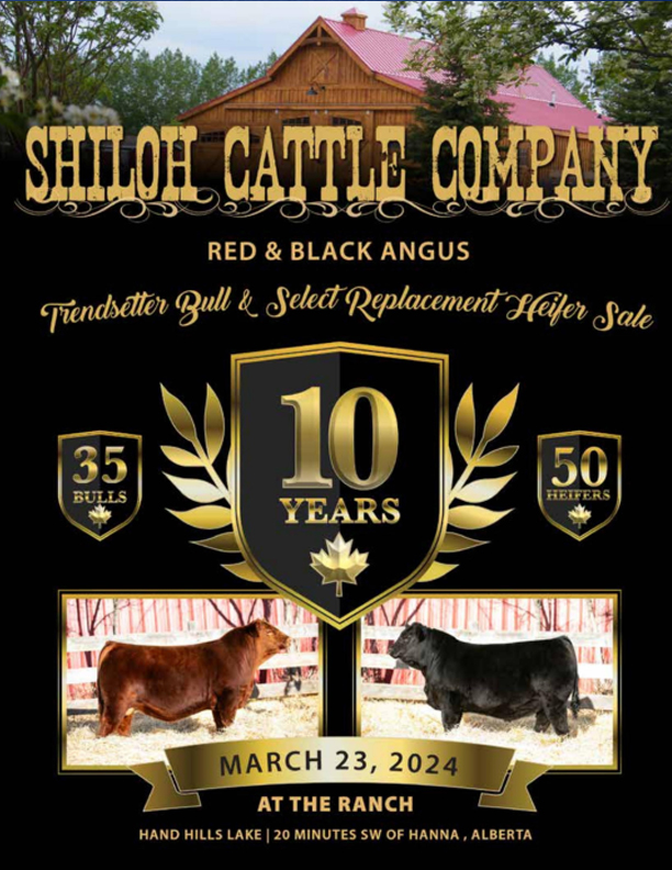 Shiloh Cattle Company