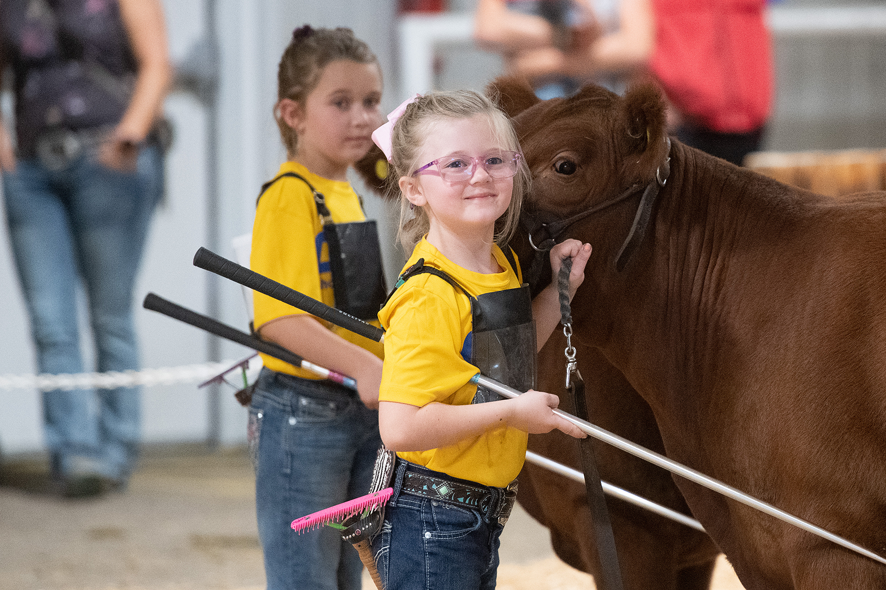 Canadian Angus Association