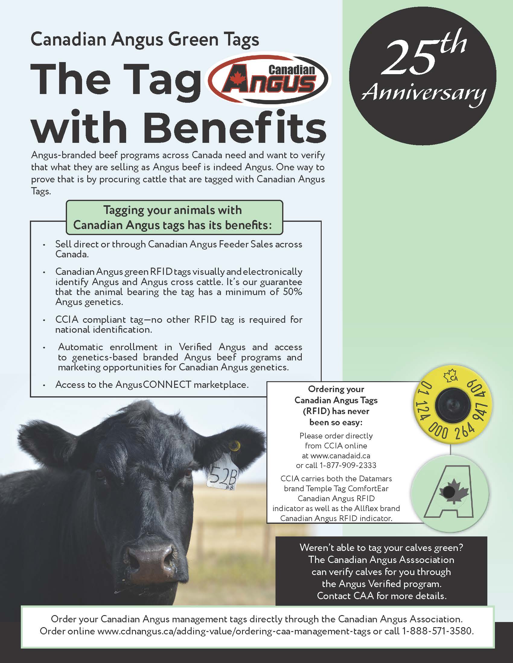 Tag Ad Angus Life 2024