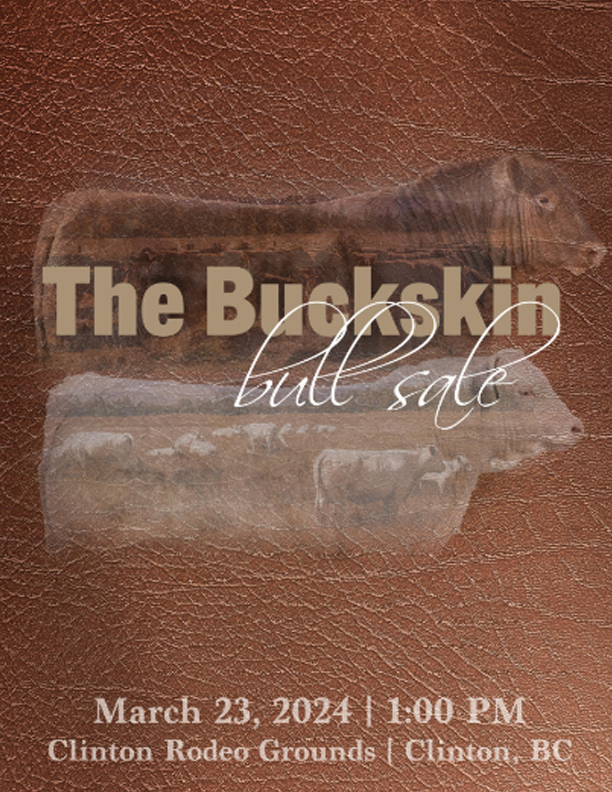 The Buckskin Bull Sale